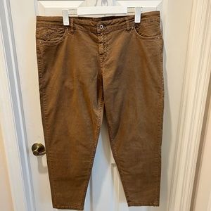 NWT Poetry Tapered Trouser Jean Clay Brown 16